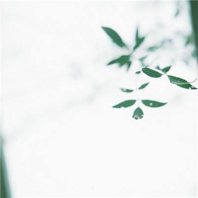 第二区内购破解版下载