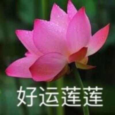 锦衣寒刀变态版下载