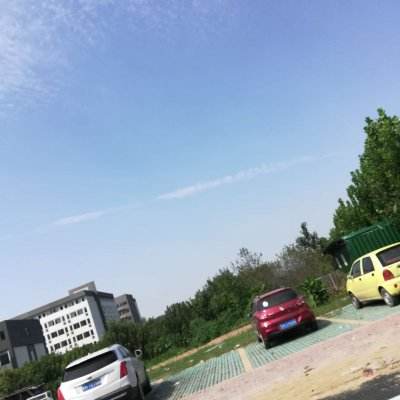 3d暴走爱丽丝破解版下载